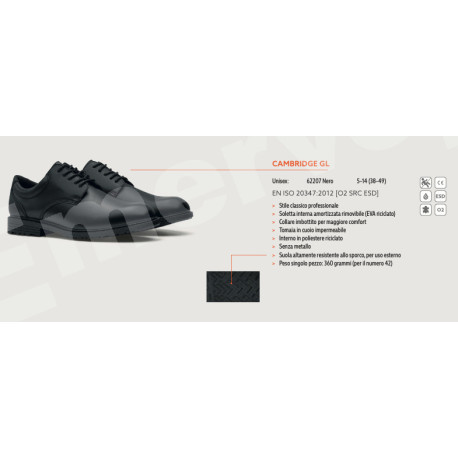 SCARPA BASSA CLASSICA UNISEX